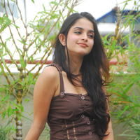 Actress Sheena Shahabadi latest Photos | Picture 46631